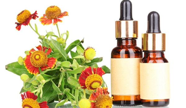 精油的種類與功效介紹