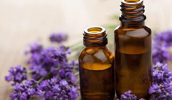 精油的種類與功效介紹
