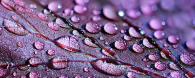 上海硫磺皂洗臉好嗎