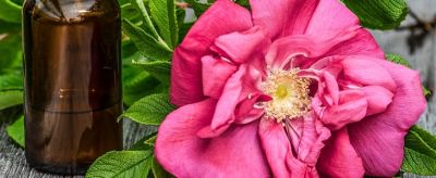 0928135811310 玫瑰精油的使用方法