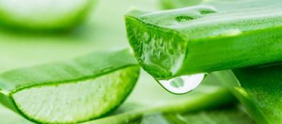 臉部脫皮起皮可以用蘆薈膠嗎