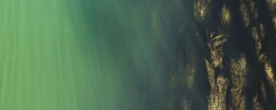 海藻牛奶面膜怎么調