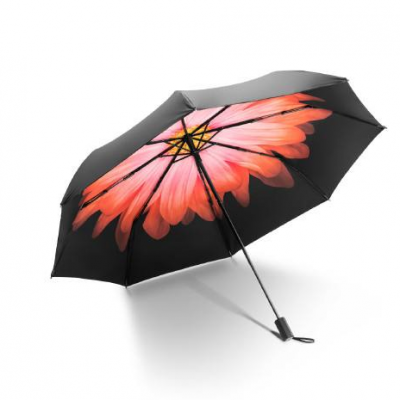 1430515311311 夏天必備用品類目都有哪些