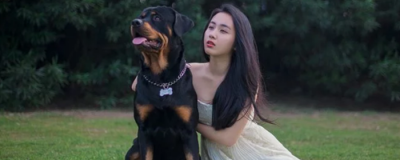 美妝蛋和粉撲哪個好用