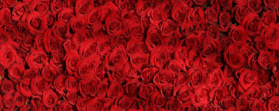 2308592311308 怎么脫毛才徹底