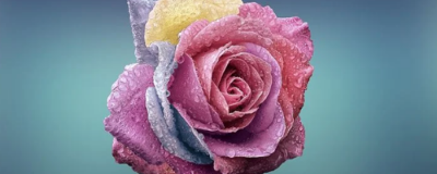 2308596611308 怎么脫毛才徹底