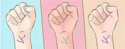 2353168511311 黃二白是什么